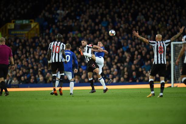 斯奈德採用 斯奈德採用